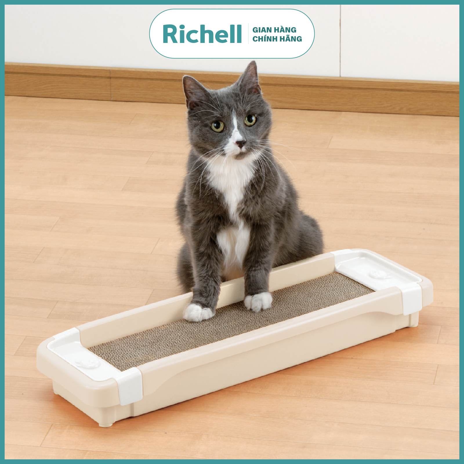 Bàn cào móng Richell Nhật Bản cho mèo