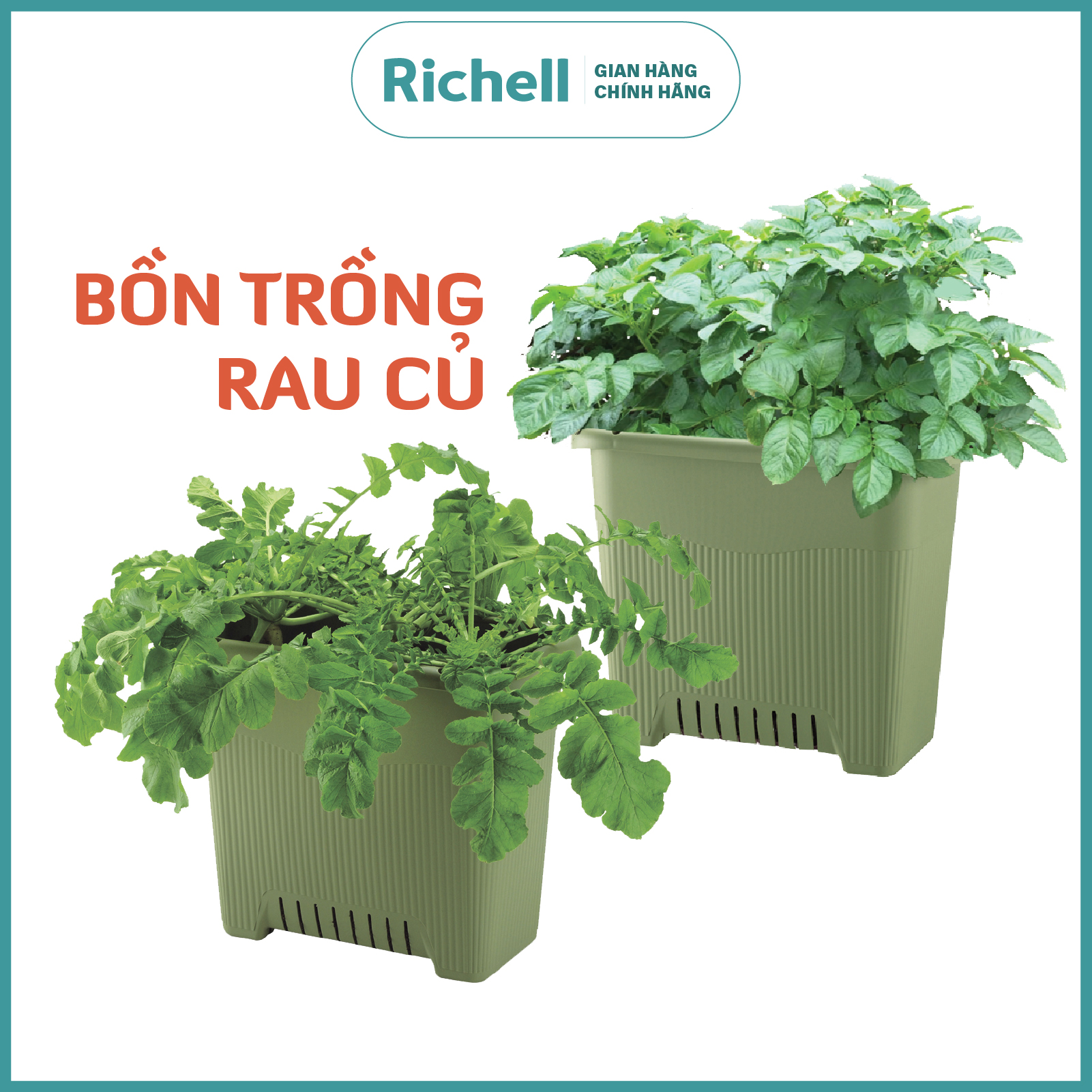 bồn trồng rau củ richell