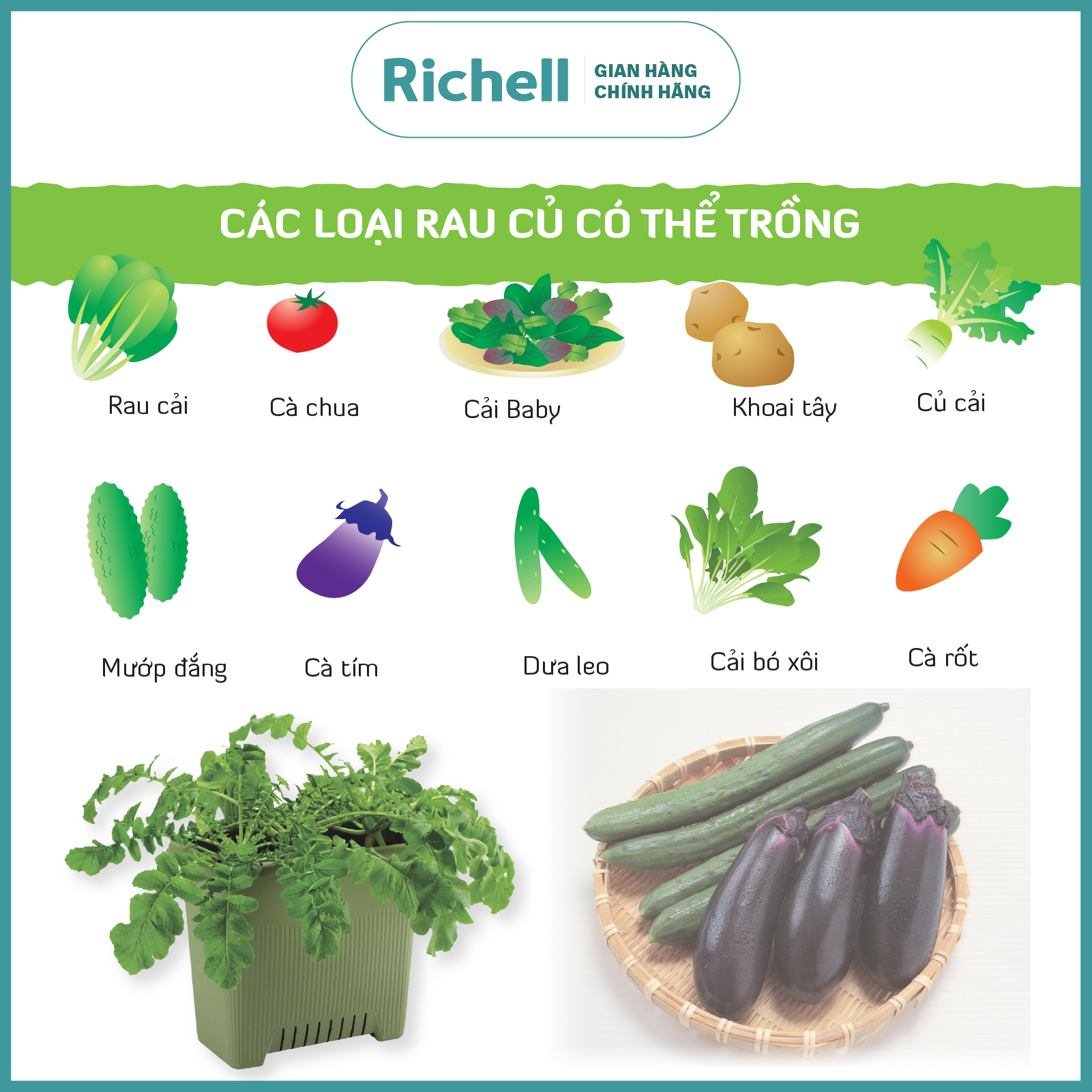 bồn trồng rau củ richell