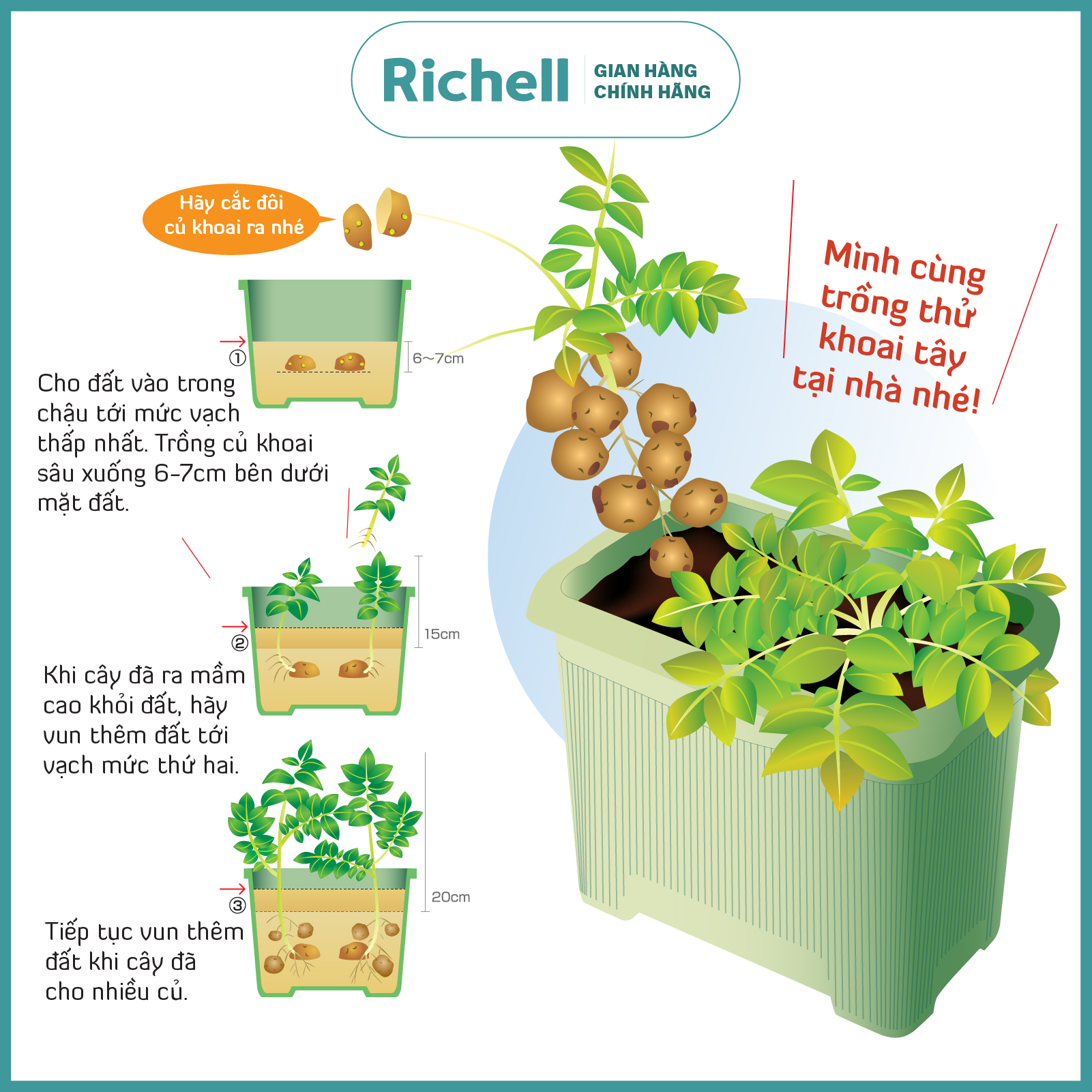 bồn trồng rau củ richell