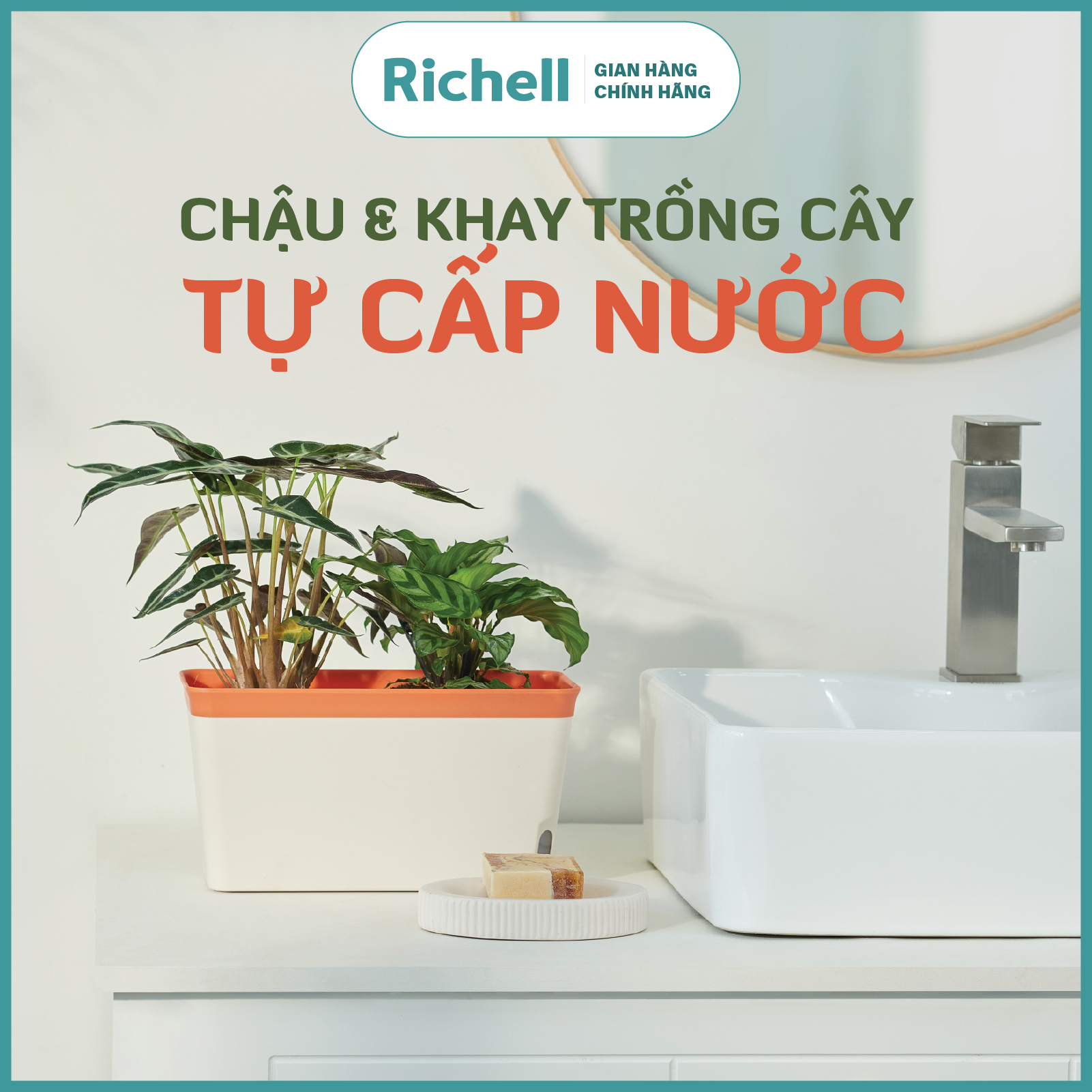 Chậu trồng cây tự cấp nước Richell