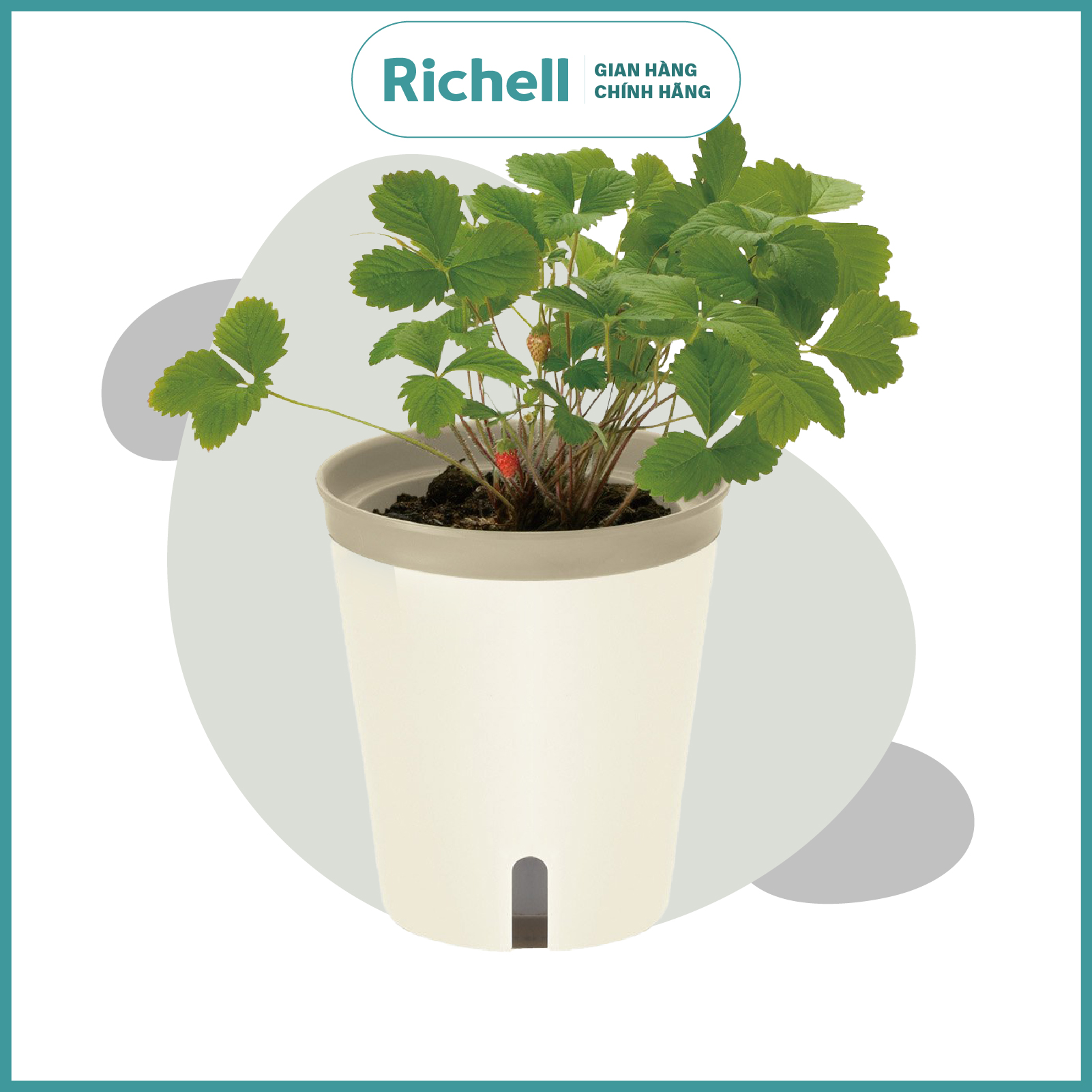Chậu trồng cây tự cấp nước Richell