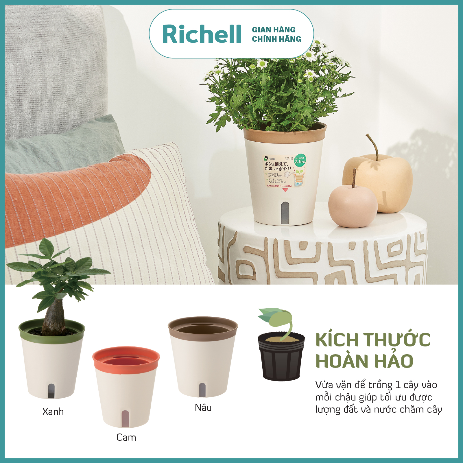 Chậu trồng cây tự cấp nước Richell