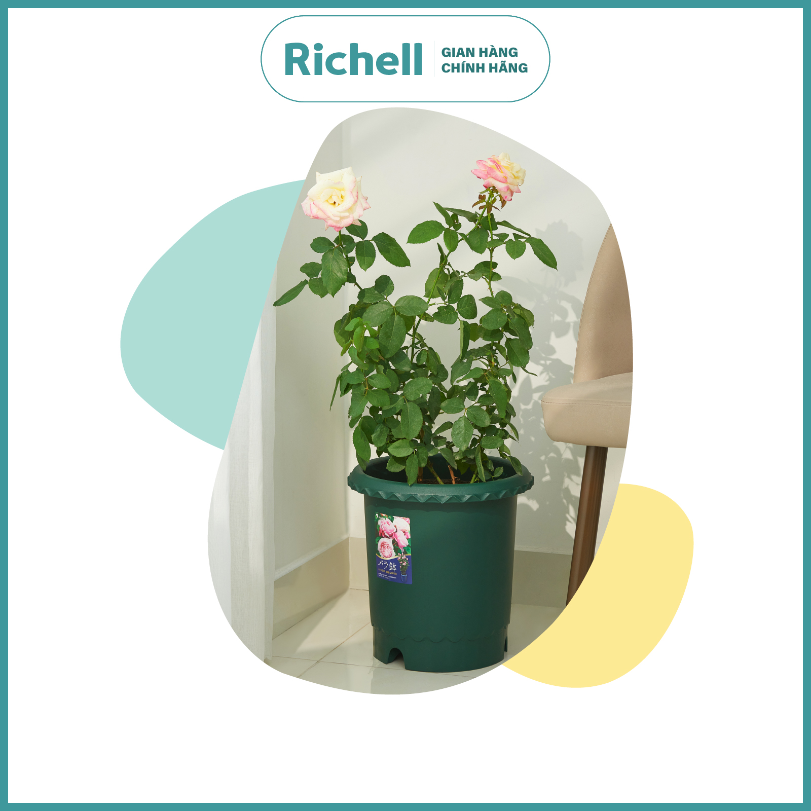 Chậu trồng hoa hồng Richell