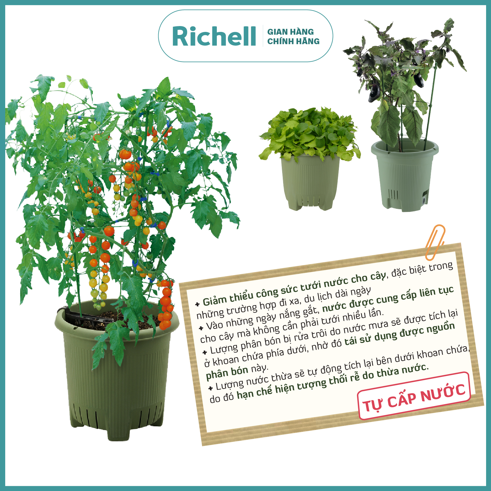 Chậu trồng rau quả Richell