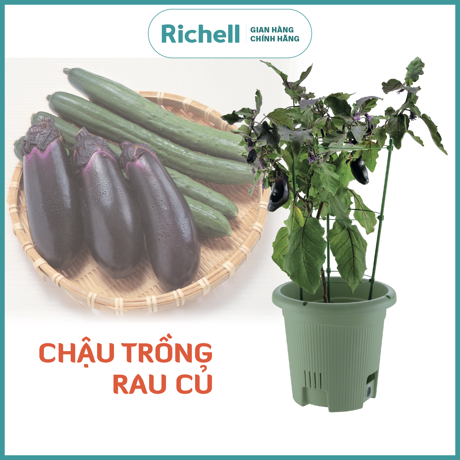 Chậu trồng rau quả Richell