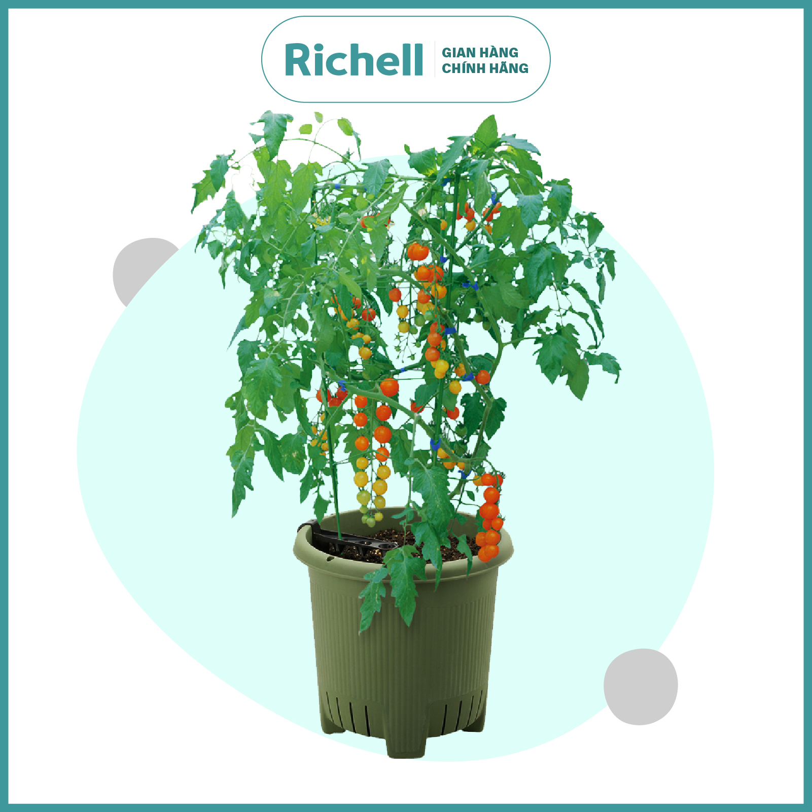Chậu trồng rau quả Richell
