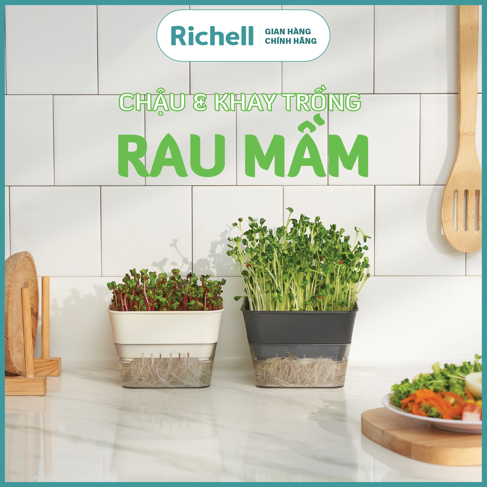 Chậu trồng rau mầm Richell